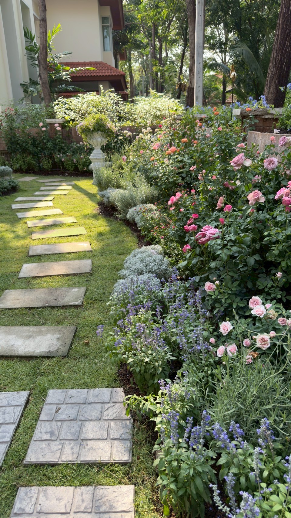 nontaburi_2 project detail 32